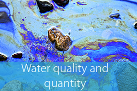 Water satellite site Button water quality and quantity